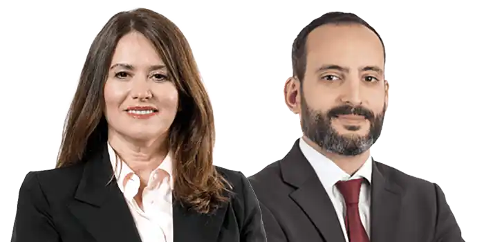 IBA Punta del Este 2026